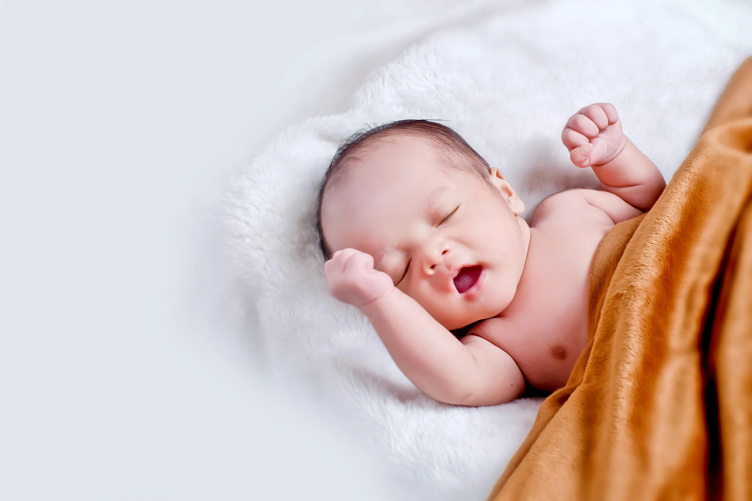 In Vitro Fertilization (IVF) In Vitro Fertilization (IVF)